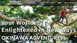 沖縄アドベンチャーズ Webサイト